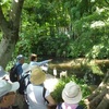 蘆花公園、実篤公園を訪ねる　ウオーキング７月例会