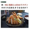 アメリカでは肉の他にもエビにもmRNAワクチン打っている（日本もアメリカに従う）