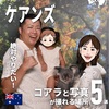 ケアンズで絶対にやりたいコアラと一緒に写真撮影🐨撮影できる場所5選