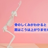 骨の身体を上手に使う