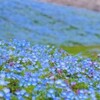 三つ子の魂百までだから園児の頃の自分が本当の自分（かもしれない）