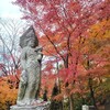【京都】『永観堂』に紅葉を見に行ってきました。  