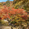 奥秩父は中津峡の紅葉