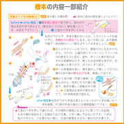 eigonだって泳ぎたい あひる解剖学