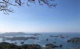 記事を見る