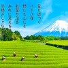 新茶は万事急須･･･？