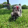 矢原河川公園へ行ってみました🌳