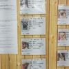 保護犬パーク長居店　2022.1.29