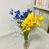 春のお花