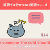 give someone the cold shoulder【直訳では分からない英語フレーズ＃44】