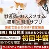 猫の本音🐱パート2