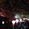 町内会のお花見会