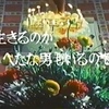 1月28日…雨
