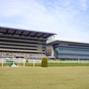 超の付く急加速から3Fの高速持続力が求められるレースで一発あるのは......　5/19(日) オークス(優駿牝馬)2019 予想　過去のレース傾向分析＆各馬評価まとめ