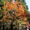 伊勢・高野山５　高野山２日め