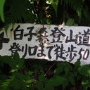 白子森造のブログ