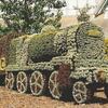汽車の植物アート・モザイカルチャー