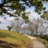 秋の気配～長崎県諫早市　白木峰高原（１）～