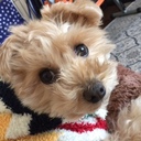 Love eeeeeel  うなぎ日記