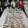 初回から大漁♬　4月の「2024天狗堂 伊勢湾 タイラバ＆SLJ教室」
