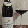 Doudet Naudin Bourgogne Pinot Noir 2019