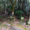 山行記　右田ヶ岳　〜直登・尾根〜