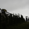 雨の日は競馬場へ