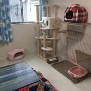 記事一覧 犬専用の個室ペットホテル 東京 名古屋
