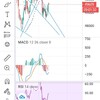 2021/01/21の投資記録