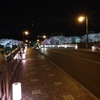  桜橋と桜並木のライトアップ。