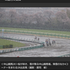 夜だるまスポーツ