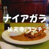 【祐天寺ランチ】鉄道好きが導かれる「ナイアガラ」3番線にやってきたエビフライカレー