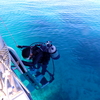 Dive172本目：西表島1本目（インダビシ）  2024石垣島旅行記No.59