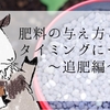 家庭菜園で知っておきたい『追肥』やり方・タイミング