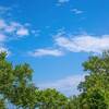 エアコンは１日中つけっぱなし。わが家の暑い夏の過ごし方。