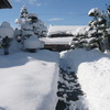 平地が大雪になりました！＆伯母さんからのプレゼント