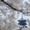 日清の優待　スイカジュース