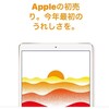 Apple Storeの初売りでIPad 9.7 (2017)を買いました