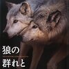 今年読んで印象に残った本10冊