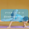 【ヨガ】アームバランス系の「グラスホッパーポーズ」にチャレンジ！そのやり方は？