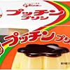 プッチンプリンだけが1日の楽しみなのである