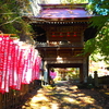 黒滝山登山(群馬県)｜黒瀧山不動寺から観音岩経由の周回コース及び絶景をお伝えします！