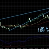 1月29日（月）～2月2日（金）＋44,597円