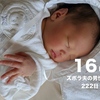 【2w2d】ズボラ夫の男性育児奮闘記-夜に寝ない新生児-(day16/222)