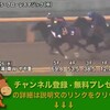 競馬無双で競馬予想！アルテミスステークス（GIII） 【競馬調教】 フローレスマジック調教動画　「競馬レース結果ハイライト」2016年≪競馬場の達人,競馬予想≫JRA-VAN対応競馬ソフト