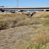 今度は蓮沼川の下流へ行ってみた　後編　「土浦板東線〜谷田川合流」