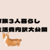 【2024年家計簿】3歳妊婦の3人暮らし・物価高に直面する生活費内訳公開｜ブログ
