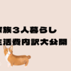 赤ちゃんと家族3人暮らしの生活費内訳を大公開！｜お金の管理