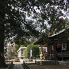 「宮城県　仙台市青葉区」青葉神社