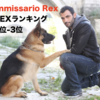 海外ドラマレビュー☆🇮🇹ローマ版REX 総合ランキング発表☆2位＆3位